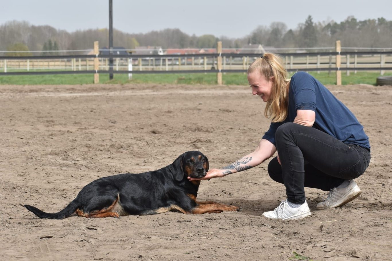 Frau trainiert Hund Junge Frau interagiert mit einem liegenden Rottweiler auf einem Außengelände.